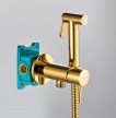 Гигиенический душ со смесителем ALMAes BENITO AL-859-08 золото